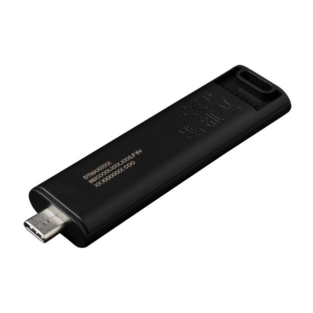 USB raktas MEMORY DRIVE FLASH USB3.2/256GB DTMAX/256GB KINGSTON 16