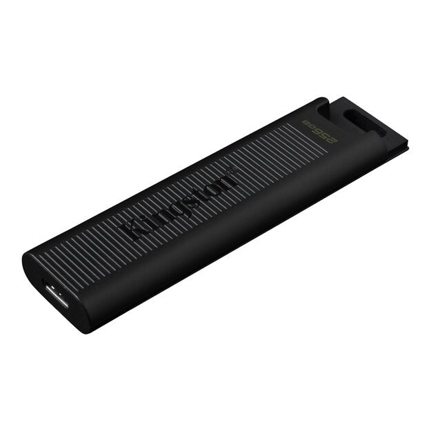 USB raktas MEMORY DRIVE FLASH USB3.2/256GB DTMAX/256GB KINGSTON