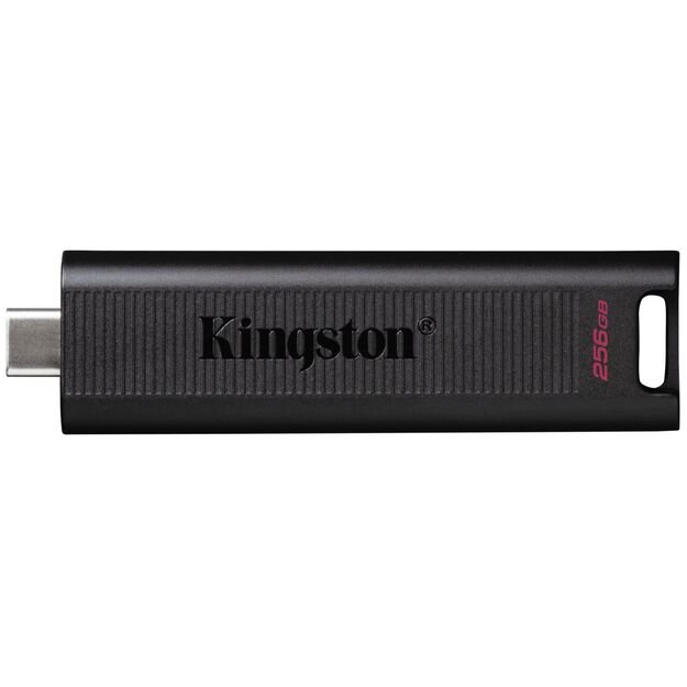 USB raktas MEMORY DRIVE FLASH USB3.2/256GB DTMAX/256GB KINGSTON 11