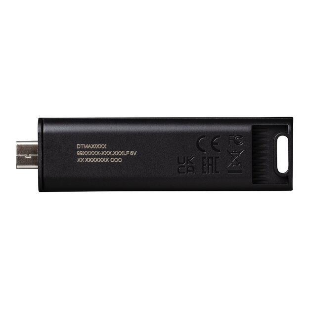 USB raktas MEMORY DRIVE FLASH USB3.2/256GB DTMAX/256GB KINGSTON