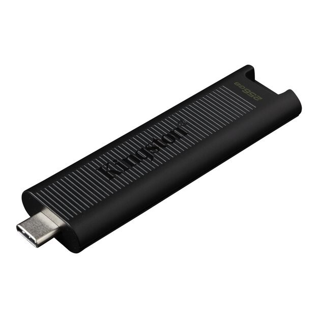 USB raktas MEMORY DRIVE FLASH USB3.2/256GB DTMAX/256GB KINGSTON