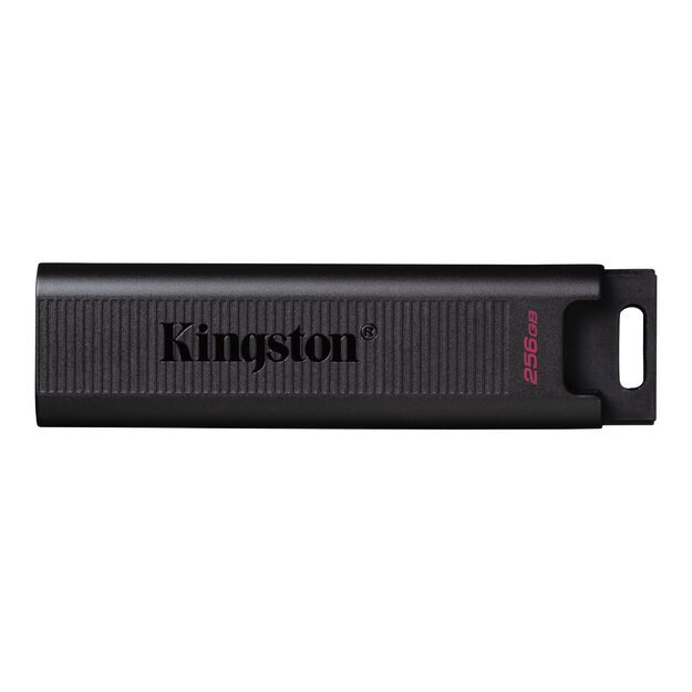 USB raktas MEMORY DRIVE FLASH USB3.2/256GB DTMAX/256GB KINGSTON