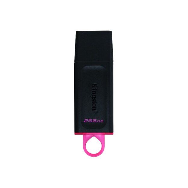 USB raktas USB3.2/256GB DTX/256GB KINGSTON