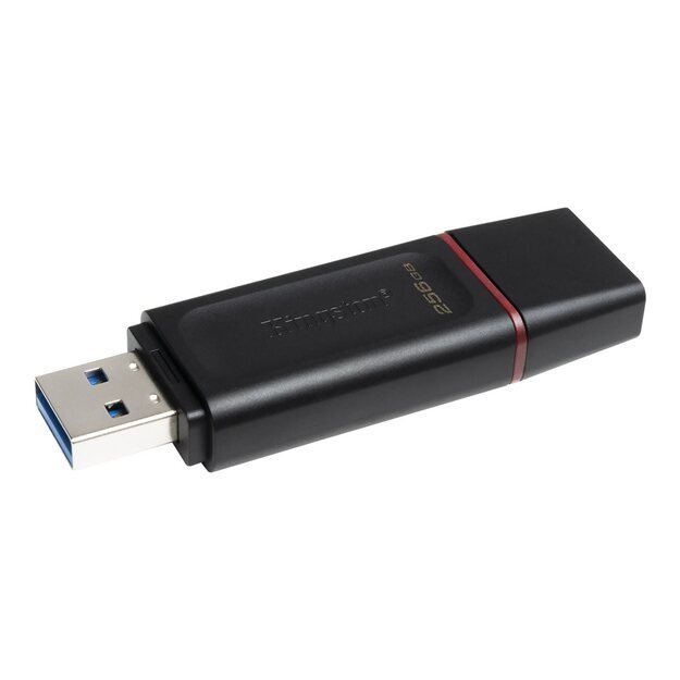 USB raktas USB3.2/256GB DTX/256GB KINGSTON