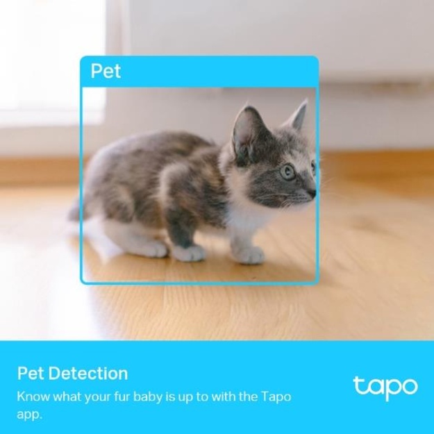 Belaidė kamera 2K QHD PAN TILT TAPO C225 TP-LINK
