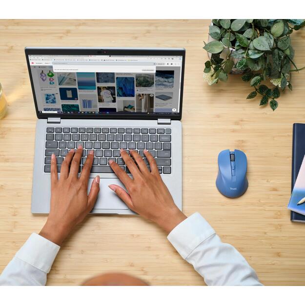 MOUSE USB OPTICAL WRL BLUE/MYDO 25041 TRUST 8