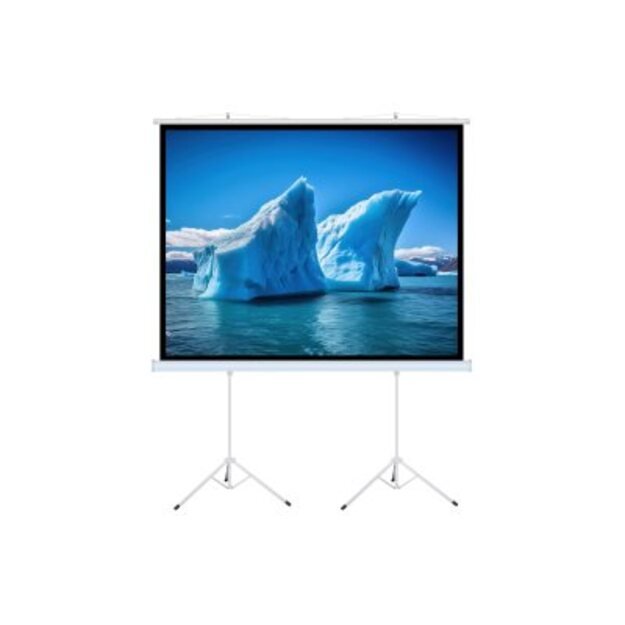 ART MANUAL SCREEN ON A TRIPOD 140inch 254x254cm TA-140 1:1 double tripod