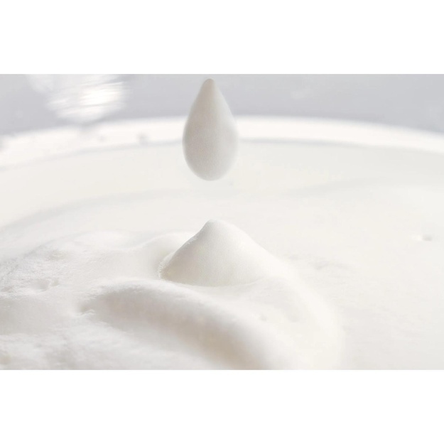 MILK FROTHER/CA6500/63 PHILIPS