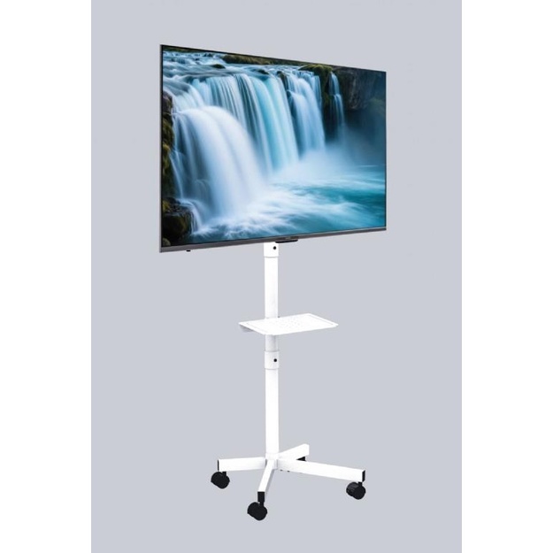 TV SET ACC FLOOR STAND 32-55 /TVS-55T-03-W GEMBIRD