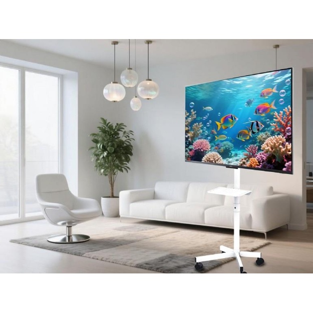 TV SET ACC FLOOR STAND 32-55 /TVS-55T-03-W GEMBIRD