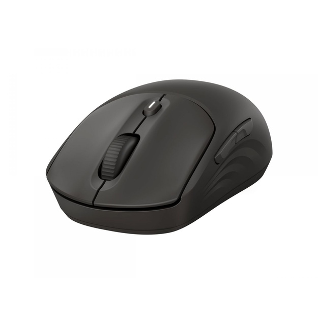 HP 405 Quiet BLK Wireless Mouse EMEA INTL Euro plug (EN)
