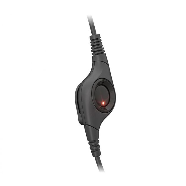 Ausinės HEADSET USB H390/981-000406 LOGITECH