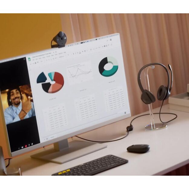 Ausinės HEADSET USB H390/981-000406 LOGITECH