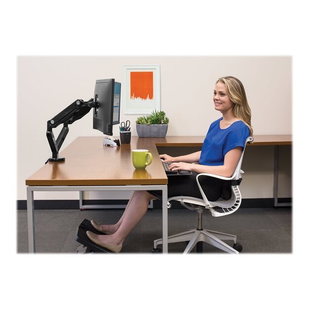 MONITOR ACC DESK MOUNT DUAL/PLATINIUM 8042501 FELLOWES