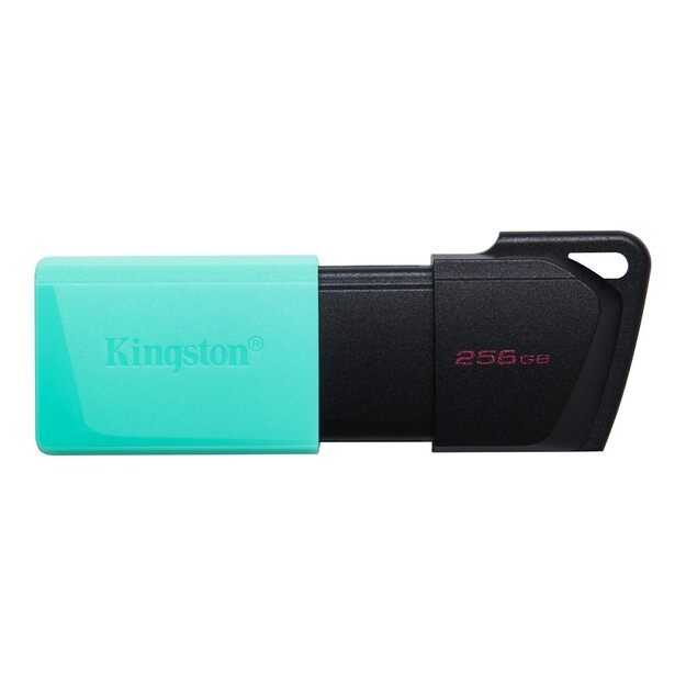 KINGSTON 256GB DataTraveler Exodia M 14