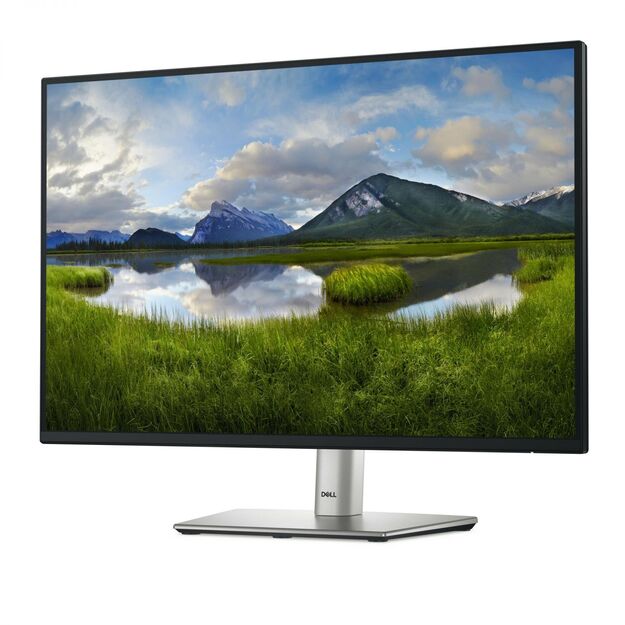 LCD Monitor|DELL|P2425|24 |Business|Panel IPS|1920x1200|16:10|100Hz|Matte|8 ms|Swivel|Pivot|Height adjustable|Tilt|210-BMJD 15