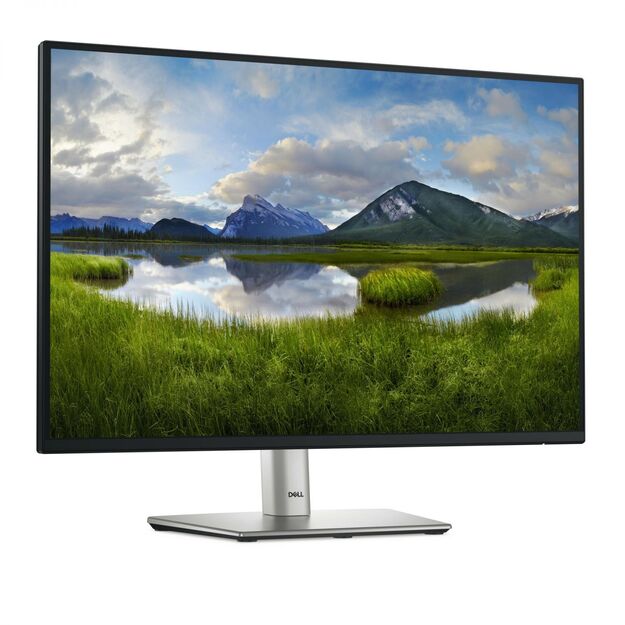 LCD Monitor|DELL|P2425|24 |Business|Panel IPS|1920x1200|16:10|100Hz|Matte|8 ms|Swivel|Pivot|Height adjustable|Tilt|210-BMJD 16