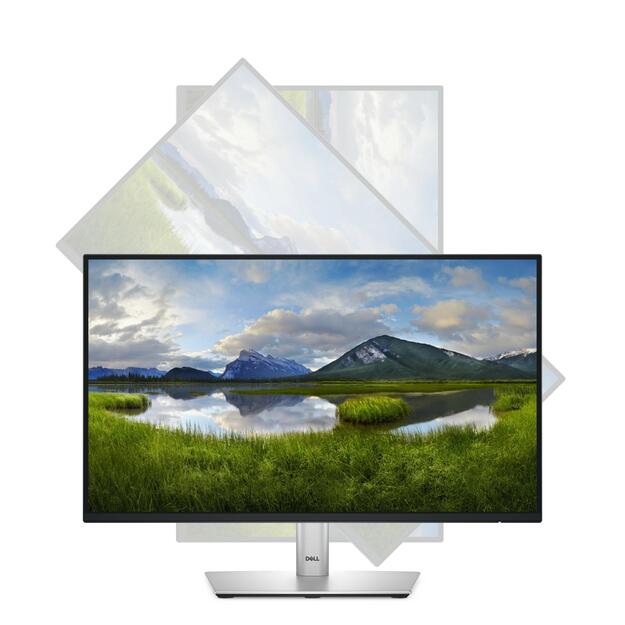 LCD Monitor|DELL|P2225H|21.5 |Business|Panel IPS|1920x1080|16:9|100 Hz|Speakers|Swivel|Pivot|Height adjustable|Tilt|210-BMHD 12