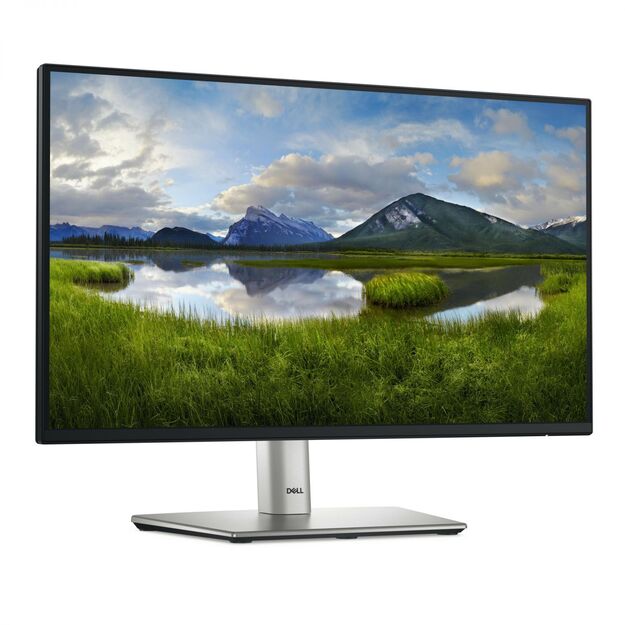 LCD Monitor|DELL|P2225H|21.5 |Business|Panel IPS|1920x1080|16:9|100 Hz|Speakers|Swivel|Pivot|Height adjustable|Tilt|210-BMHD 24