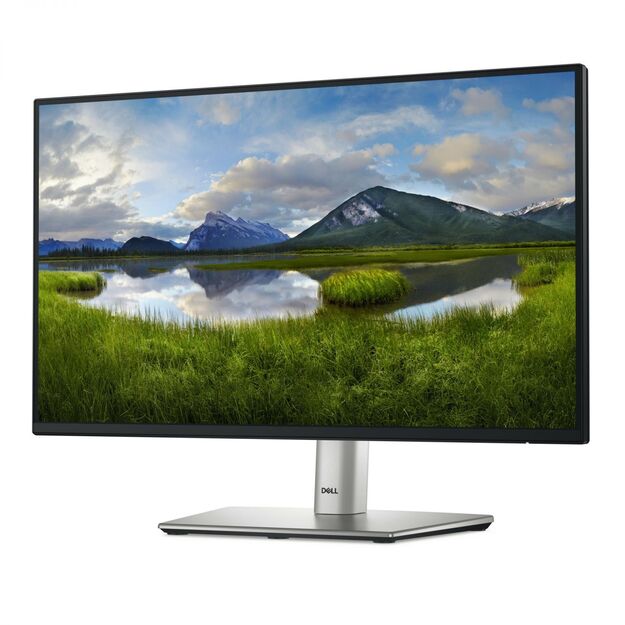 LCD Monitor|DELL|P2225H|21.5 |Business|Panel IPS|1920x1080|16:9|100 Hz|Speakers|Swivel|Pivot|Height adjustable|Tilt|210-BMHD 13