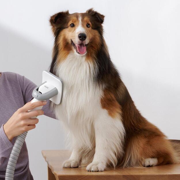 VACUUM CLEANER PET GROOMING/KIT MOVA G1 PRO PHC10A DREAME 6