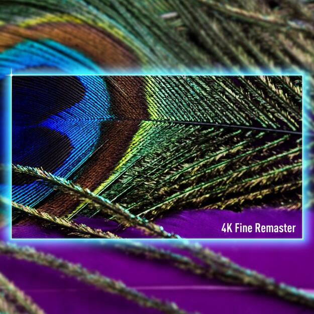 TV SET LCD 55  4K/TV-55W90AEG PANASONIC 6