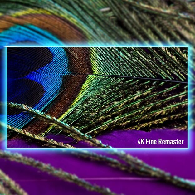 TV SET LCD 55  4K/TV-55W90AEG PANASONIC 15