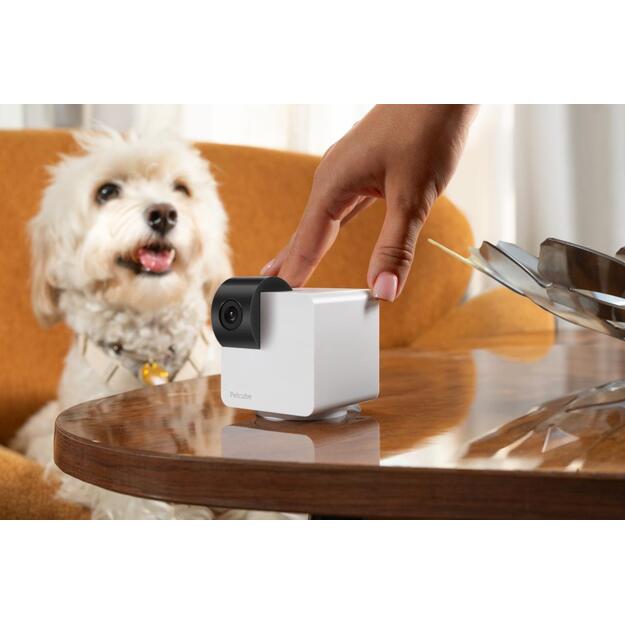 WRL CAMERA CAM 360/P36010US PETCUBE