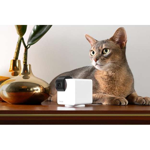 WRL CAMERA CAM 360/P36010US PETCUBE