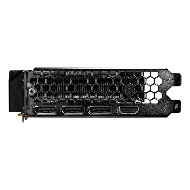 Graphics Card|PALIT|NVIDIA GeForce RTX 5050|8 GB|GDDR6|128 bit|PCIE 5.0 16x|Single Slot Fansink|NE65050019P1-GB2070F 15