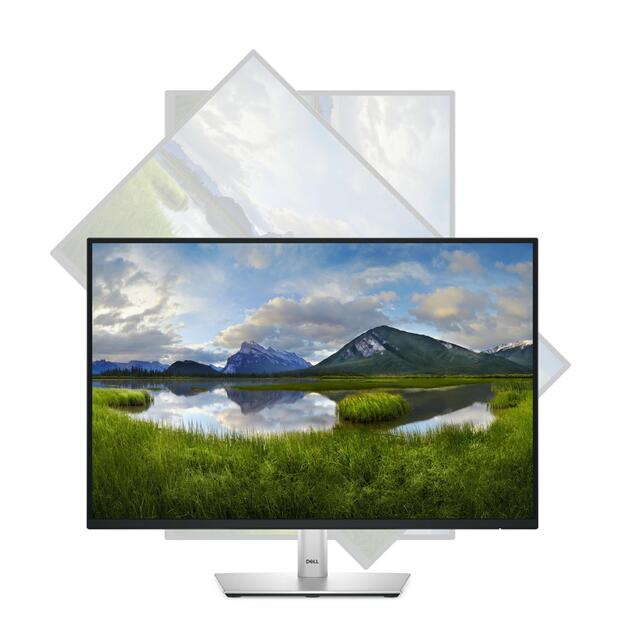 MONITOR LCD 24  P2425 IPS/210-BMJD DELL 10