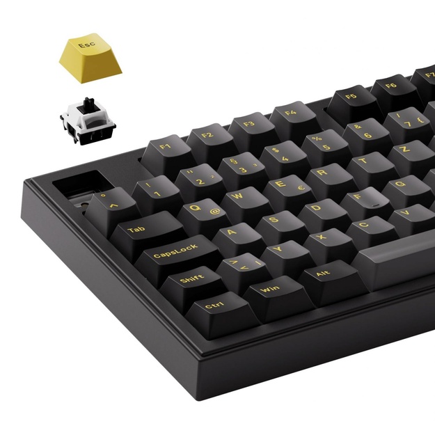 KEYBOARD WRL 5098B/BLACK/GOLD 6925758631921 AKKO