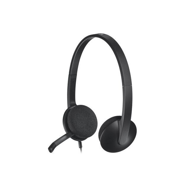 Ausinės LOGITECH H340 USB Headset black