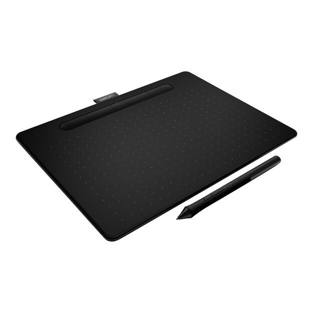 Planšetinio kompiuterio dėklas WACOM Intuos Comfort Plus PB M Black