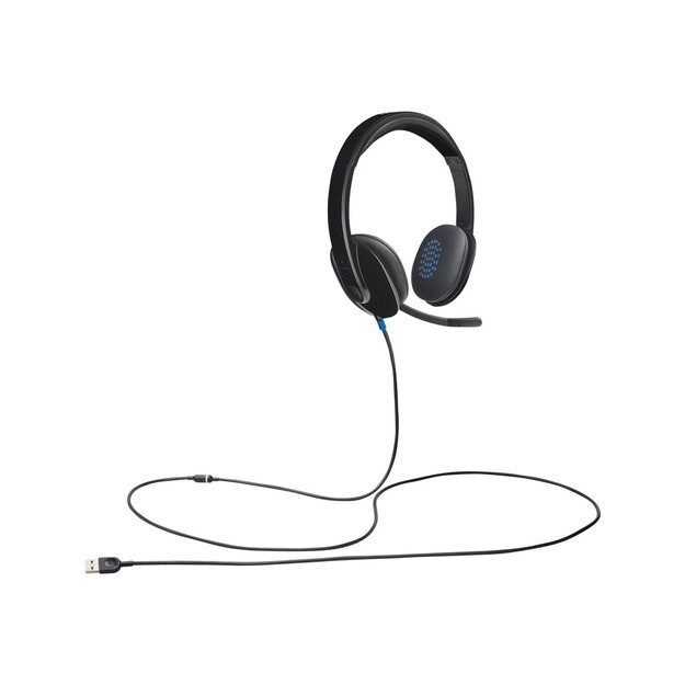 Ausinės LOGITECH H540 USB Headset black