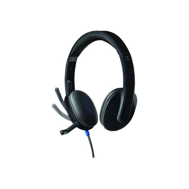 Ausinės LOGITECH H540 USB Headset black