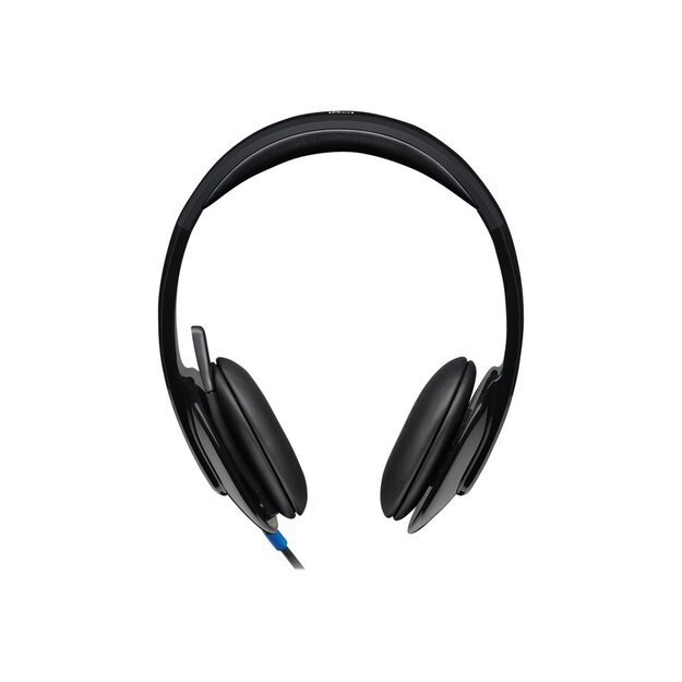 Ausinės LOGITECH H540 USB Headset black