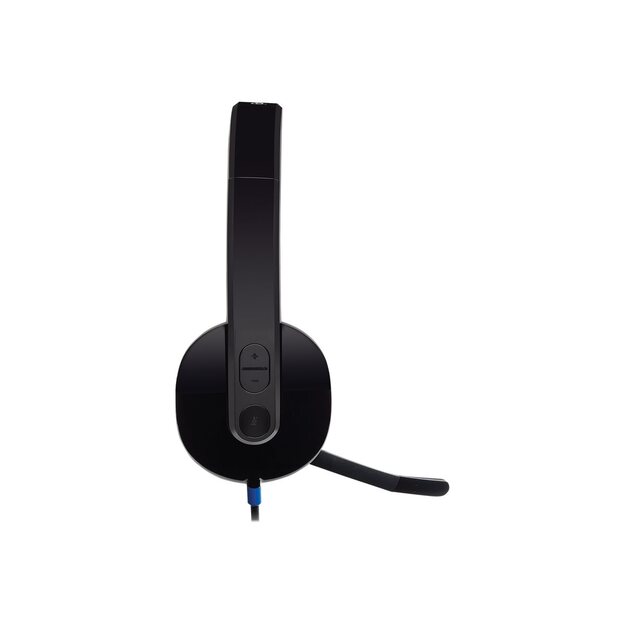 Ausinės LOGITECH H540 USB Headset black