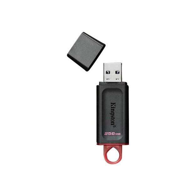 USB raktas KINGSTON 256GB USB3.2 Gen1 DataTraveler Exodia Black + Pink 10