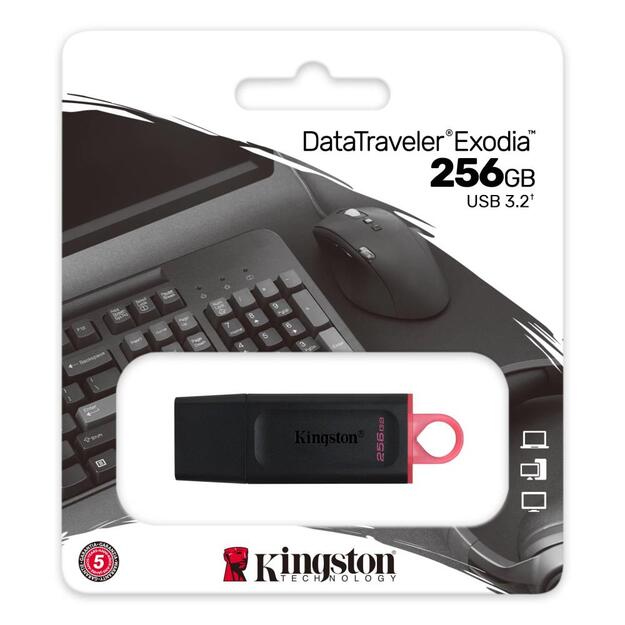 USB raktas KINGSTON 256GB USB3.2 Gen1 DataTraveler Exodia Black + Pink 20