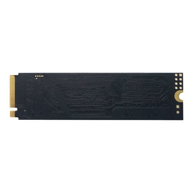 Kietasis diskas (SSD) vidinis PATRIOT P310 240GB M2 2280 PCIe SSD NVME