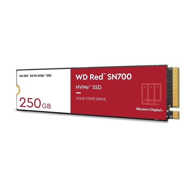 SSD|WESTERN DIGITAL|Red SN700|250GB|M.2|PCIE|NVMe|Write speed 1600 MBytes/sec|Read speed 3100 MBytes/sec|TBW 500 TB|WDS250G1R0C