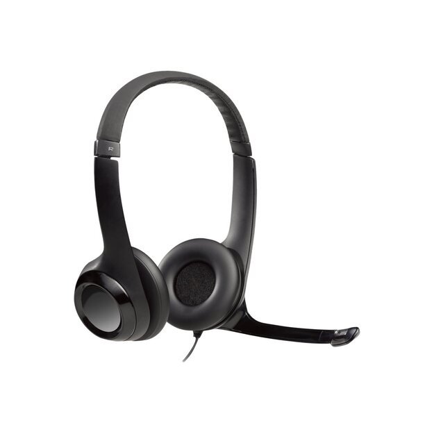 Ausinės LOGITECH H390 Headset USB black