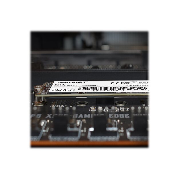 Kietasis diskas (SSD) vidinis PATRIOT P310 240GB M2 2280 PCIe SSD NVME