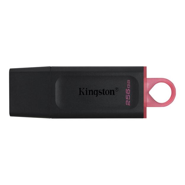 USB raktas USB3.2/256GB DTX/256GB KINGSTON